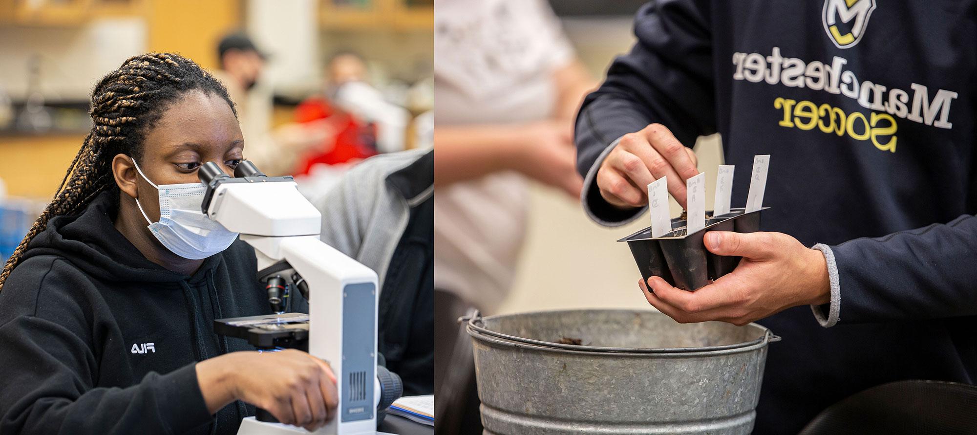 Students planting and using microscope